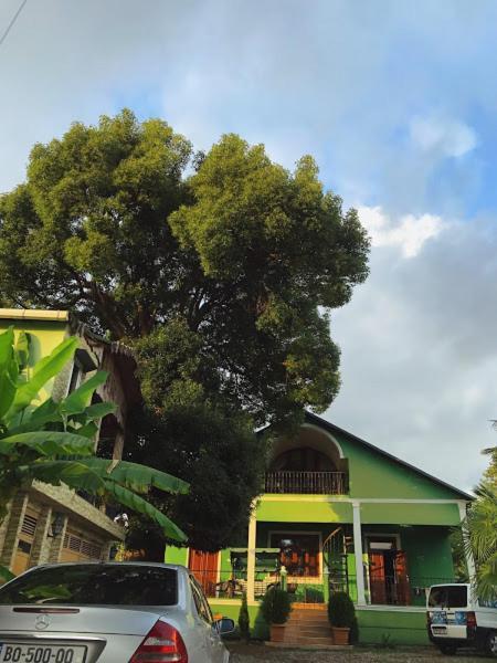 Apartment Green House Makhinjauri Exterior foto